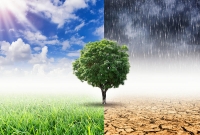 ‎Lancement de la Charte climat et environnement des organisations humanitaires‎