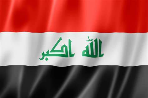 Observations on the additional information submitted by Iraq under article 29 (4) of the Convention