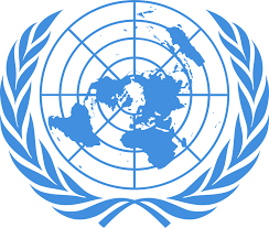 In response to the invitation of the United Nations, our organization, BAMRO