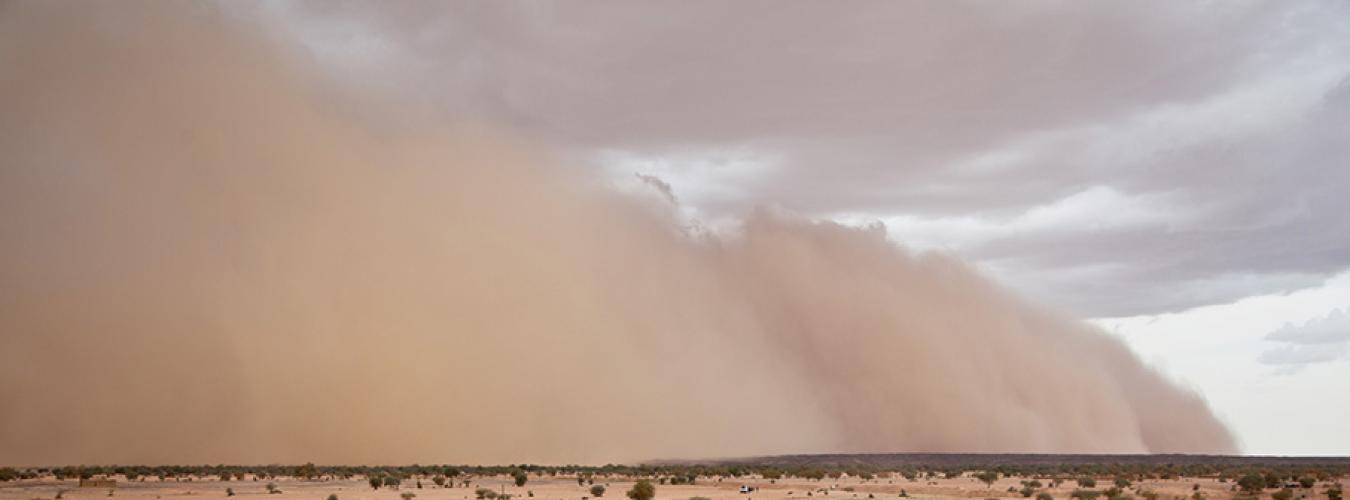Journée internationale de la lutte contre les tempêtes de sable et de poussière 12 Juillet