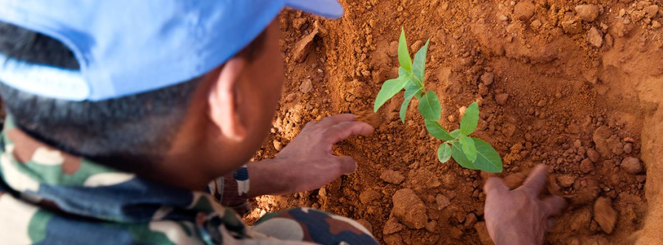 Journée internationale pour la prévention de l’exploitation de l’environnement en temps de guerre et de conflit armé 6 novembre